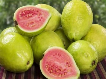 6 Buah dengan Protein Tinggi, Bagus Dikonsumsi Saat Diet