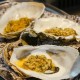 Menikmati Sensasi Oyster dengan Menu Variatif