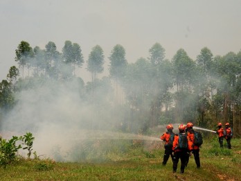 20 Titik Hotspot Terpantau di Sumbar, 3 Daerah Potensi Karhutla