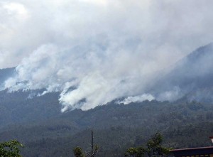Kebakaran Hutan di Gunung Lawu Terus Meluas