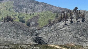 Kerugian Kebakaran Bromo Mencapai Rp8,3 Miliar