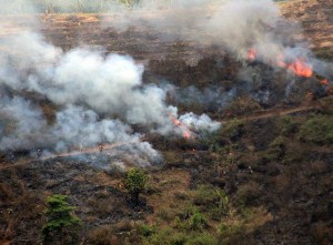 Kebakaran Hutan dan Lahan (Karhutla) di Kabupaten Jombang Terus Mengalami Peningkatan