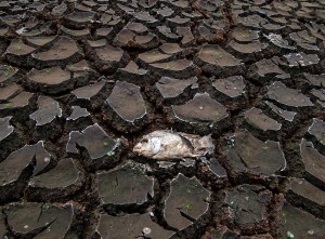 Sejumlah Wilayah di Indonesia Masih Mengalami Kekeringan Akibat Efek El Nino