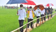 Kelakar Jokowi Soal Syahrul Yasin Limpo: Ada yang Punya Kontaknya?