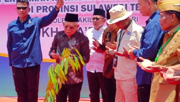 Wapres Resmikan Kawasan Pangan Nusantara di Donggala, Jadi Lumbung Bagi IKN