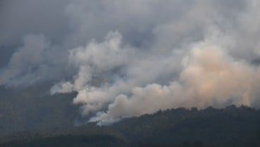 Akibat Kabut Asap, Pengusaha Pariwisata di Riau Rugi