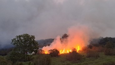 Kabut Asap Karhutla dan Dampak pada Perekonomian Sumsel