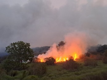 Kabut Asap Karhutla dan Dampak pada Perekonomian Sumsel