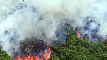 Dishut: 330 Ha Lahan Terbakar di Sumbar Selama Sepekan