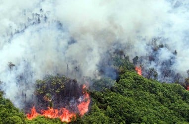 Dishut: 330 Ha Lahan Terbakar di Sumbar Selama Sepekan