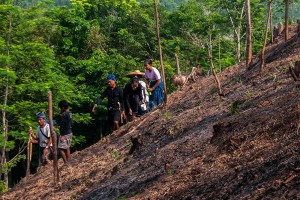 Suku Badui Menggelar Tradisi Ngaseuk di Leuwidamar Saat Musim Kemarau
