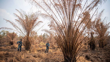 KLHK Menyegel Lahan PT Sampoerna Agro Tbk. Akibat Kebakaran Lahan di OKI Sumsel