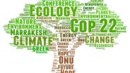OPINI : Arah Kebijakan Ketahanan Iklim