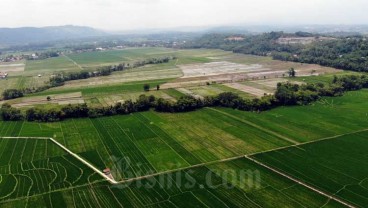 Daerah Perkotaan di Sumbar Paling Banyak Terjadi Alih Fungsi Lahan Sawah