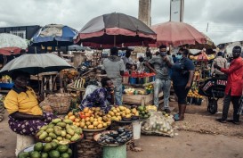 Pakar RI Beri Saran Pengurangan Risiko Kesehatan di Afrika