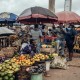 Pakar RI Beri Saran Pengurangan Risiko Kesehatan di Afrika