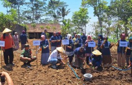 Dukung Petani Indonesia, PNM Beri 10.000 Lebih Bibit Unggul Untuk Panen
