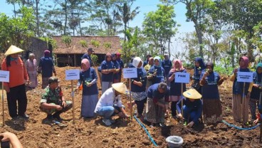 Dukung Petani Indonesia, PNM Beri 10.000 Lebih Bibit Unggul Untuk Panen