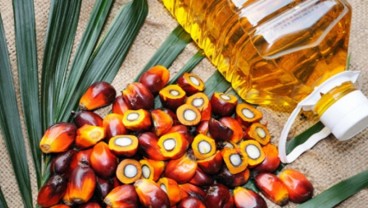 PalmCo Berperan di Industri Minyak Goreng, IPO Perlu Dipercepat