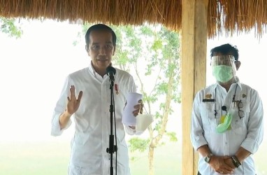 Jokowi Pastikan Pertemuan dengan Eks Mentan Syahrul Yasin Limpo di Istana Besok