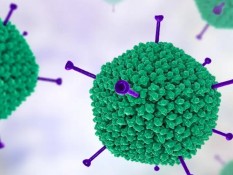 Kenali Infeksi Adenovirus, Penyebab Terjadinya Demam, Diare Hingga Penyakit Lain