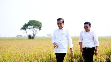 Pengganti SYL, Plt Mentan Dampingi Jokowi Pantau Panen Raya di Subang