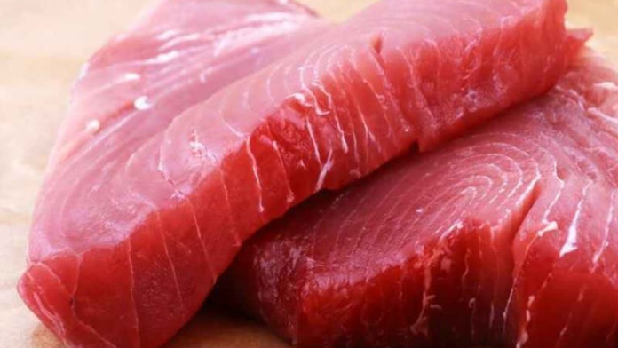 Ekspor Ikan Tuna 100 Ton ke Jepang Bakal Dilakukan dari Papua