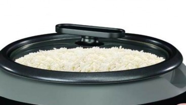 Bagi-bagi 500.000 Rice Cooker Gratis, ESDM: Potensi Hemat 9,7 Juta LPG 3 Kg