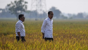 Bersih-Bersih Kementan, Plt. Mentan Arief: Siapapun yang Melanggar Kita Selesaikan