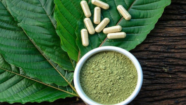 Kratom, Makin Dilarang Kian Menjadi