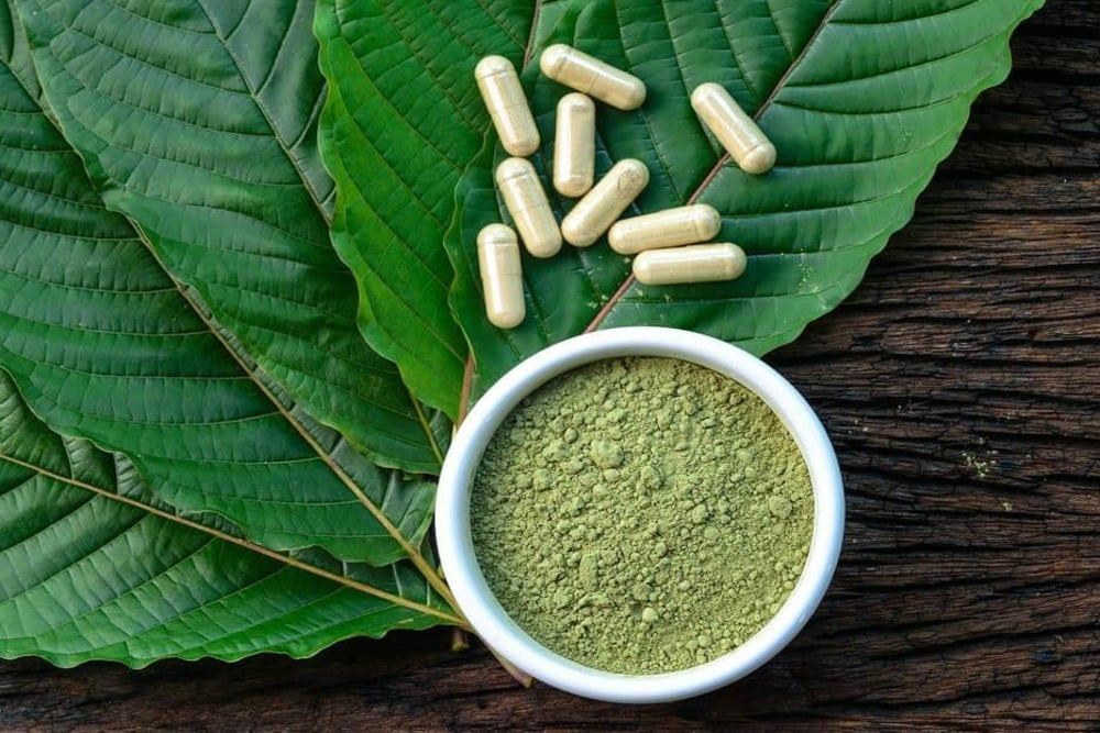 United Nations Office on Drugs and Crime (UNODC) pada 2013 menggolongkan kratom sebagai new psychoactive substances (NPS). - Foto BNN