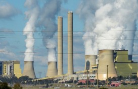 Sunyi Transaksi Bursa Karbon tanpa Adanya Pajak Karbon