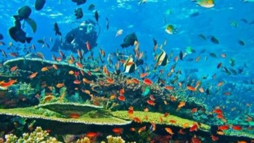 KTT AIS Forum 2023: Ini 4 Ancaman Krisis Negara Kepulauan, Termasuk Indonesia!