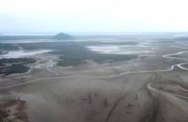 Danau Sentarum Mengering, Warga Kesulitan Air Bersih