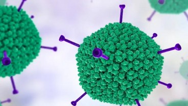 Gejala, Penyebab, dan Pencegahan Adenovirus, Virus yang Dapat Menyerang Anak-anak