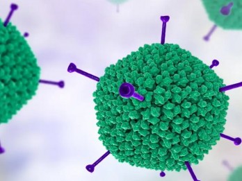 Gejala, Penyebab, dan Pencegahan Adenovirus, Virus yang Dapat Menyerang Anak-anak