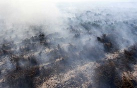 Dampak Kabut Asap Terhadap Perekonomian Riau, Paling Besar Diderita Rumah Tangga