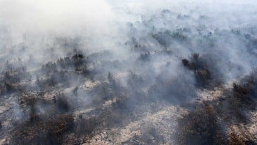 Dampak Kabut Asap Terhadap Perekonomian Riau, Paling Besar Diderita Rumah Tangga