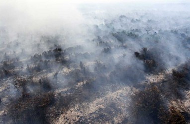 Dampak Kabut Asap Terhadap Perekonomian Riau, Paling Besar Diderita Rumah Tangga