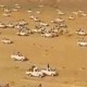 CEK FAKTA: Video Ratusan Orang Mesir Ramai-ramai ke Perbatasan demi Bantu Palestina Perangi Israel