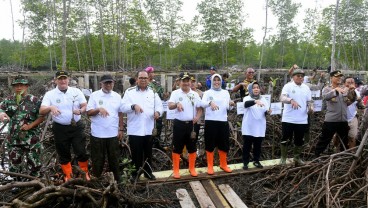 Pulihkan Hutan Mangrove Lubuk Kertang, Pemprov Sumut Tanam 10 Ribu Bibit