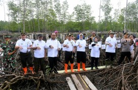 Pulihkan Hutan Mangrove Lubuk Kertang, Pemprov Sumut Tanam 10 Ribu Bibit