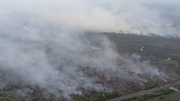 Kebakaran Lahan di Palangka Raya Landa 713,23 Hektare Gambut