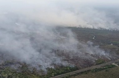 Kebakaran Lahan di Palangka Raya Landa 713,23 Hektare Gambut