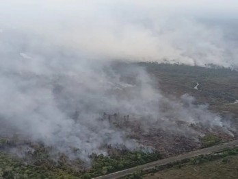 Kebakaran Lahan di Palangka Raya Landa 713,23 Hektare Gambut