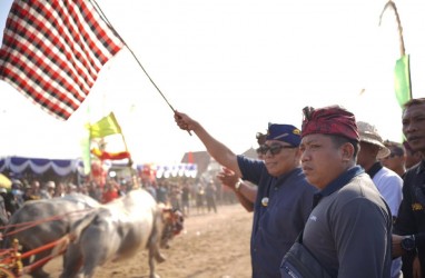 Jembrana Lestarikan Lomba Makepung di Sirkuit All in One