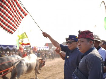 Jembrana Lestarikan Lomba Makepung di Sirkuit All in One