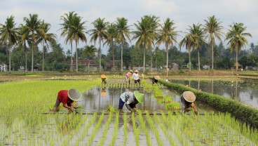 Bocoran Kebijakan Dana Desa hingga Otsus 2024, Simak Rinciannya
