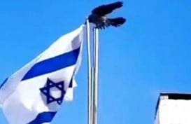 Viral Lagi Video Gagak Jatuhkan Bendera Israel, Apa Artinya?