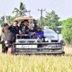 Petani Padi di Maros Panen Raya Seluas 50 Hektare di Tengah Kemarau Panjang